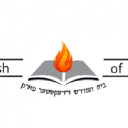 Logo of Bais Medrash of Dexter Park