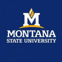 Logo of Montana State University